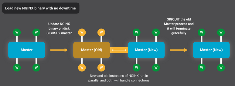 NGINX reloads its binary without any downtime (interruption of request processing).