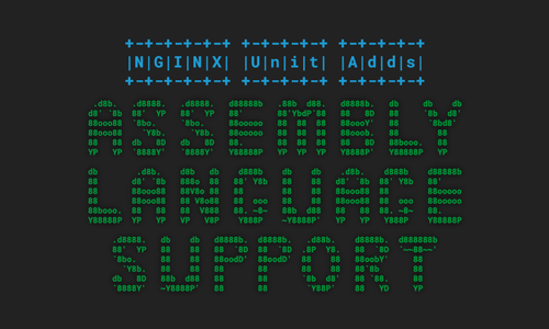 NGINX Unit Adds Assembly Language Support